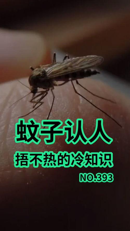 爆料大蚊子的视频播放大全,惊悚瞬间尽收眼底  第2张